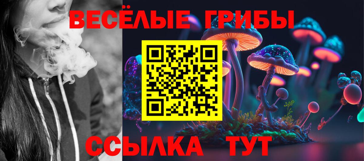 Галлюциногенные грибы GOLDEN TEACHER  Вход с VPN  Гуково 